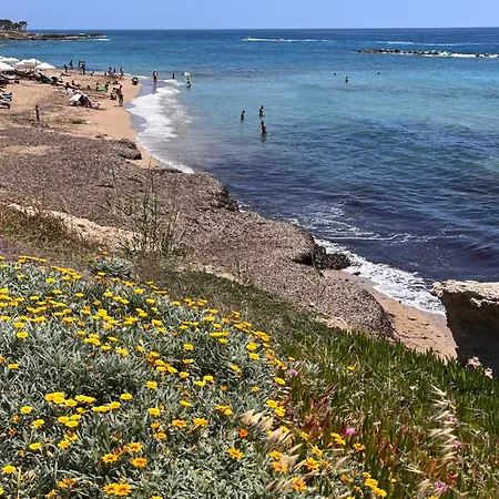 アパート New Moder Loft By The Sea